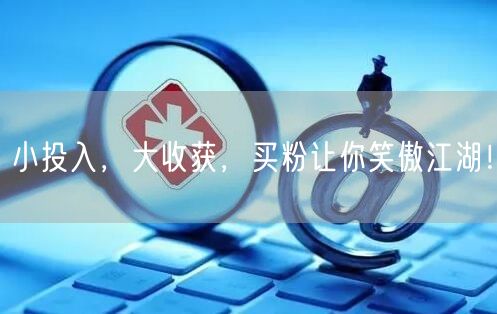小投入，大收获，买粉让你笑傲江湖！