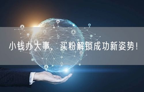 小钱办大事，买粉解锁成功新姿势！