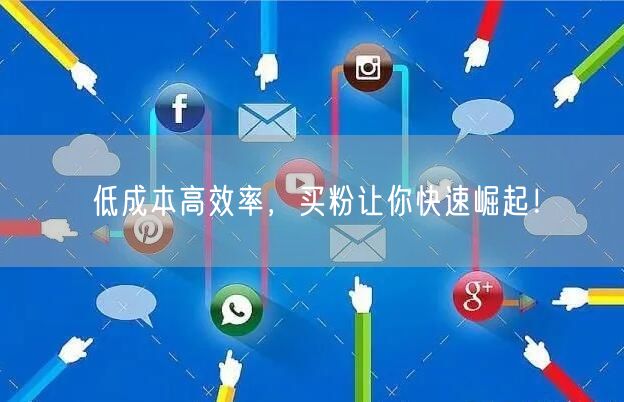 低成本高效率，买粉让你快速崛起！