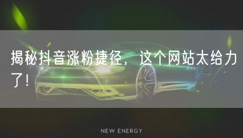 揭秘抖音涨粉捷径，这个网站太给力了！