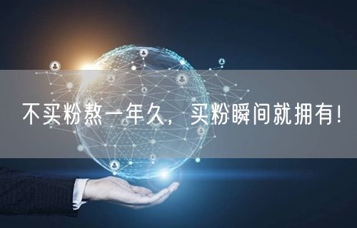 不买粉熬一年久，买粉瞬间就拥有！