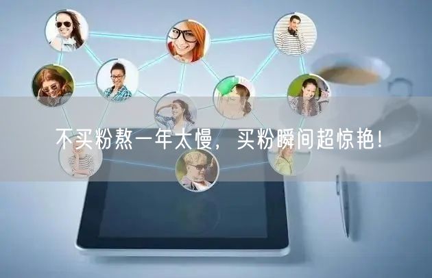 不买粉熬一年太慢，买粉瞬间超惊艳！
