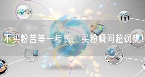 不买粉苦等一年长，买粉瞬间超飒爽！