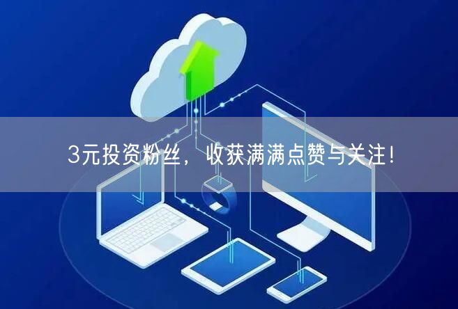 3元投资粉丝，收获满满点赞与关注！