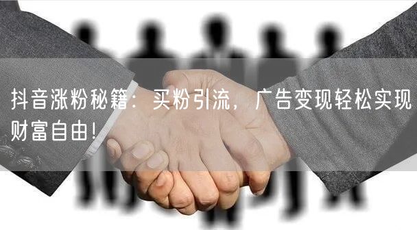 抖音涨粉秘籍：买粉引流，广告变现轻松实现财富自由！