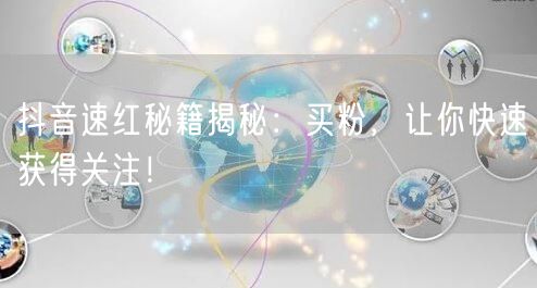 抖音速红秘籍揭秘：买粉，让你快速获得关注！