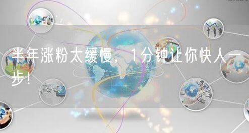 半年涨粉太缓慢，1分钟让你快人一步！