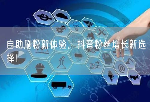 自助刷粉新体验，抖音粉丝增长新选择！