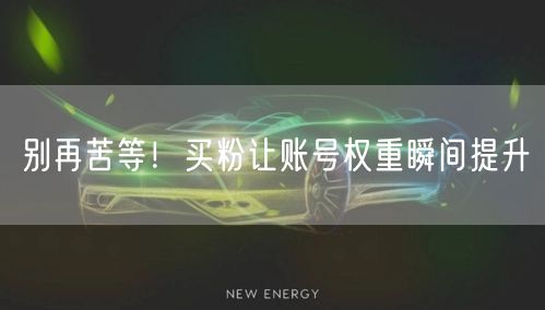 别再苦等！买粉让账号权重瞬间提升