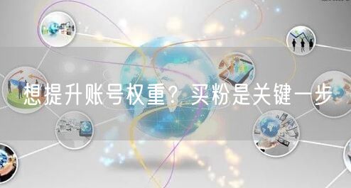 想提升账号权重？买粉是关键一步