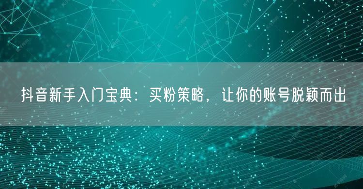 抖音新手入门宝典：买粉策略，让你的账号脱颖而出