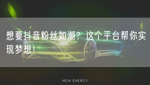 想要抖音粉丝如潮？这个平台帮你实现梦想！