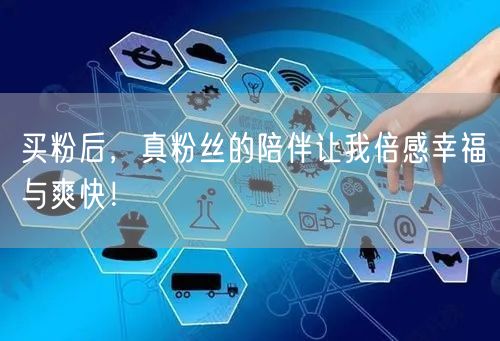 买粉后，真粉丝的陪伴让我倍感幸福与爽快！
