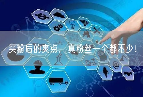 买粉后的爽点，真粉丝一个都不少！