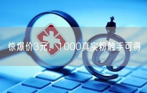 惊爆价3元，1000真实粉触手可得