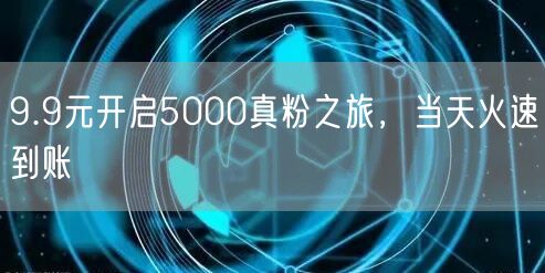 9.9元开启5000真粉之旅，当天火速到账