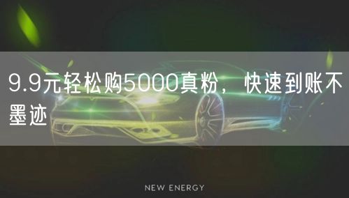 9.9元轻松购5000真粉，快速到账不墨迹
