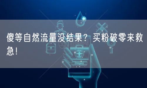 傻等自然流量没结果？买粉破零来救急！