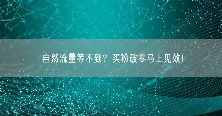 自然流量等不到？买粉破零马上见效！
