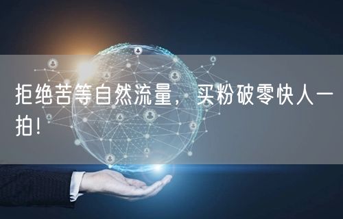 拒绝苦等自然流量，买粉破零快人一拍！