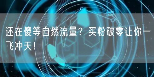还在傻等自然流量？买粉破零让你一飞冲天！
