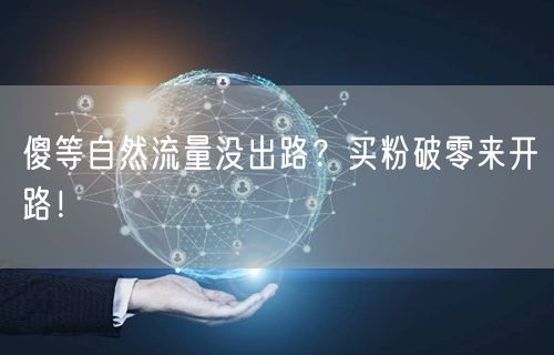 傻等自然流量没出路？买粉破零来开路！