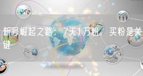 新号崛起之路：7天1万粉，买粉是关键