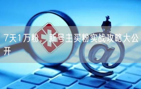 7天1万粉，新号主买粉实战攻略大公开