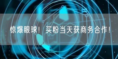 惊爆眼球！买粉当天获商务合作！