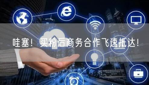 哇塞！买粉后商务合作飞速抵达！