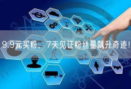 9.9元买粉，7天见证粉丝量飙升奇迹！