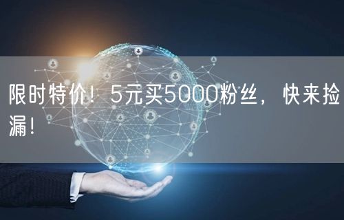 限时特价！5元买5000粉丝，快来捡漏！
