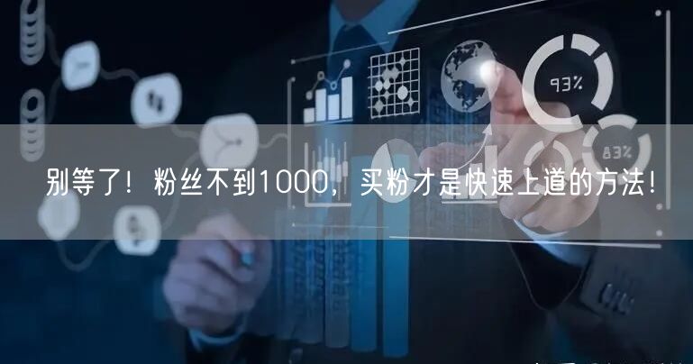 别等了！粉丝不到1000，买粉才是快速上道的方法！
