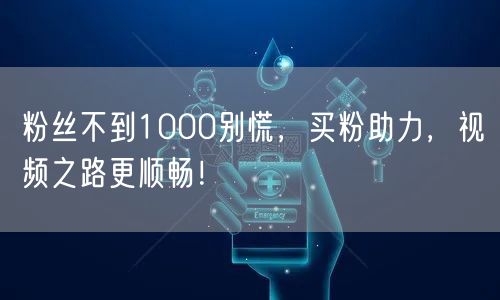 粉丝不到1000别慌，买粉助力，视频之路更顺畅！