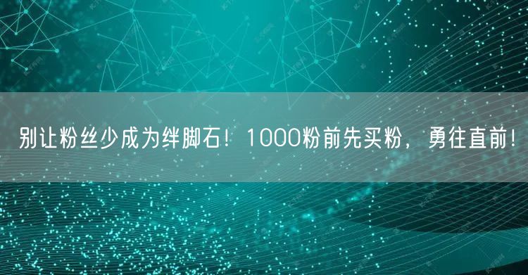 别让粉丝少成为绊脚石！1000粉前先买粉，勇往直前！