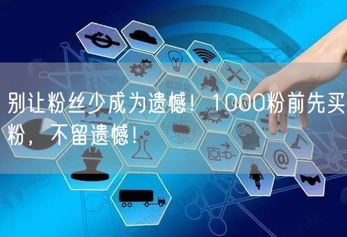 别让粉丝少成为遗憾！1000粉前先买粉，不留遗憾！
