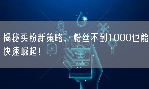 揭秘买粉新策略，粉丝不到1000也能快速崛起！