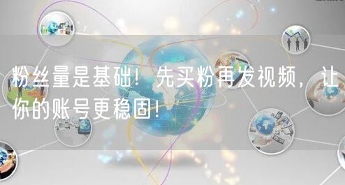 粉丝量是基础！先买粉再发视频，让你的账号更稳固！