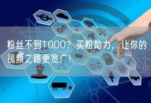 粉丝不到1000？买粉助力，让你的视频之路更宽广！