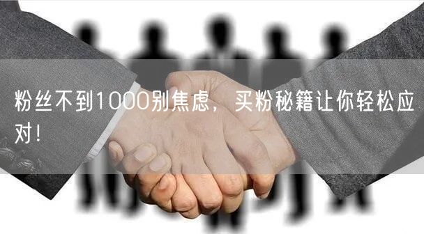 粉丝不到1000别焦虑，买粉秘籍让你轻松应对！