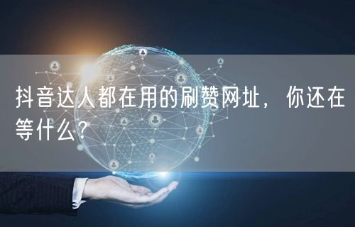 抖音达人都在用的刷赞网址，你还在等什么？