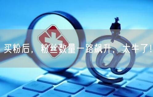 买粉后，粉丝数量一路飙升，太牛了！