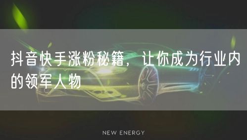 抖音快手涨粉秘籍，让你成为行业内的领军人物