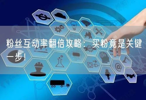 粉丝互动率翻倍攻略：买粉竟是关键一步！