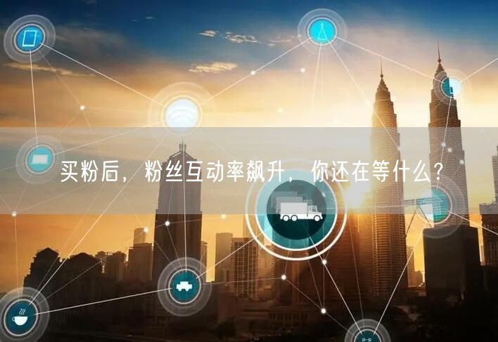 买粉后，粉丝互动率飙升，你还在等什么？