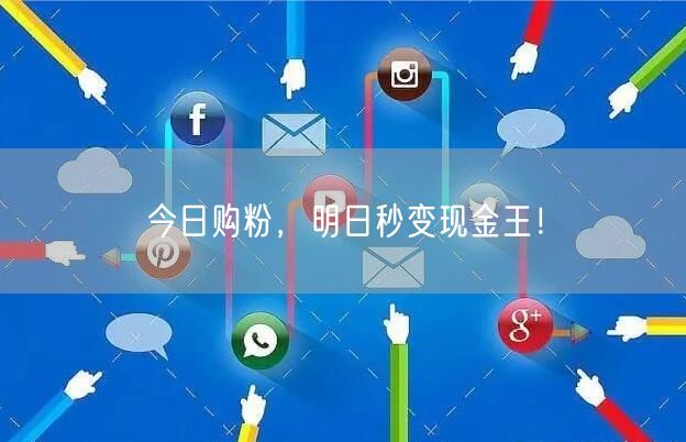 今日购粉，明日秒变现金王！
