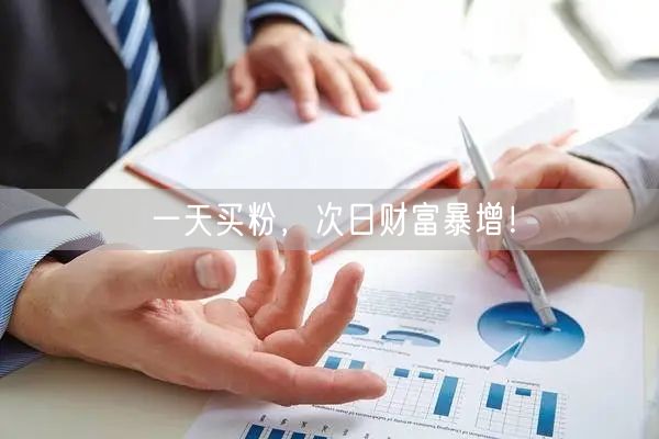 一天买粉，次日财富暴增！