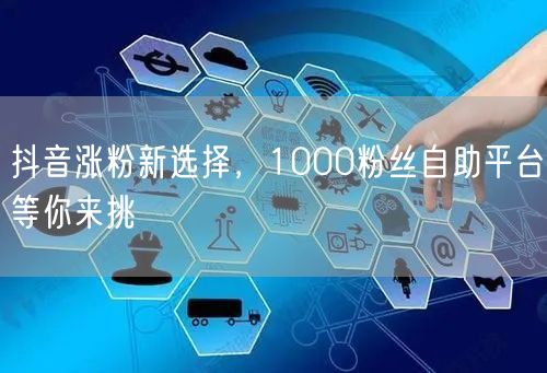 抖音涨粉新选择，1000粉丝自助平台等你来挑