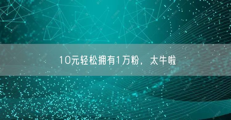 10元轻松拥有1万粉，太牛啦
