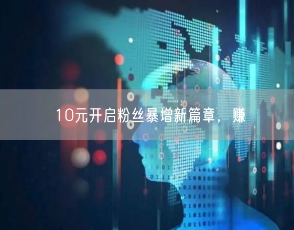 10元开启粉丝暴增新篇章，赚
